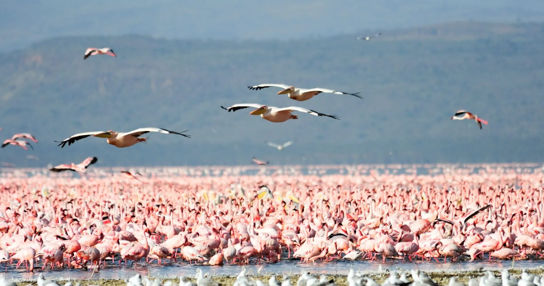 Lake Manyara