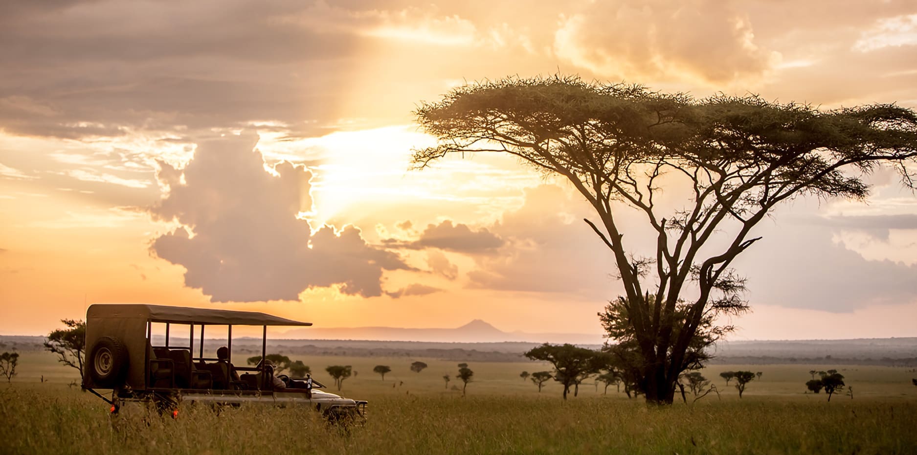 Happy safari tourists watching wildlife