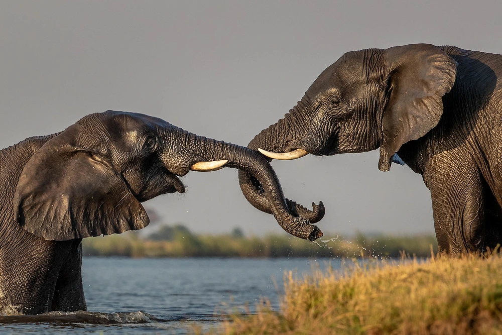 Tarangire National Park