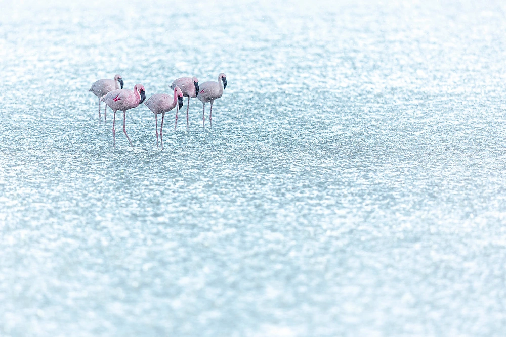 Lake Manyara