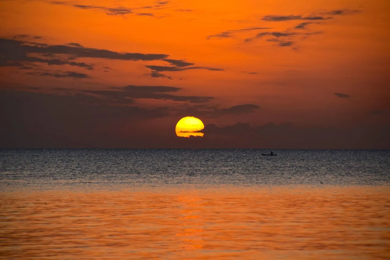 Zanzibar farewell