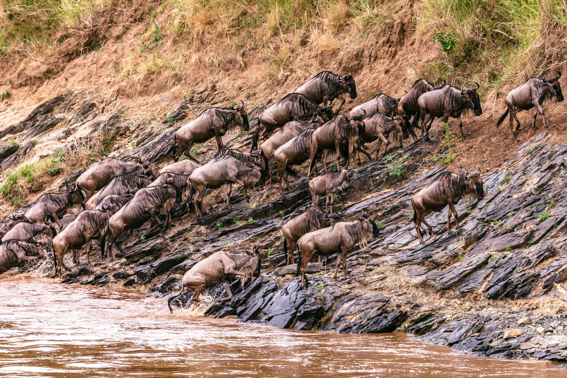 4-Day Safari