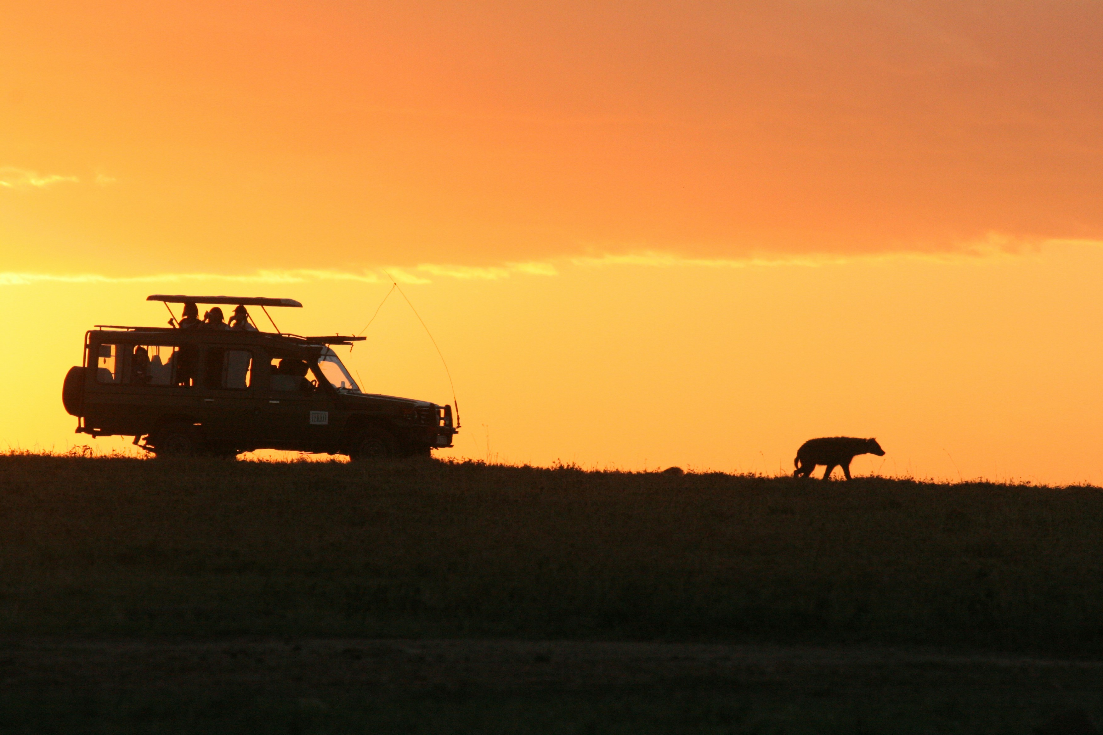 Happy safari tourists in Tanzania
